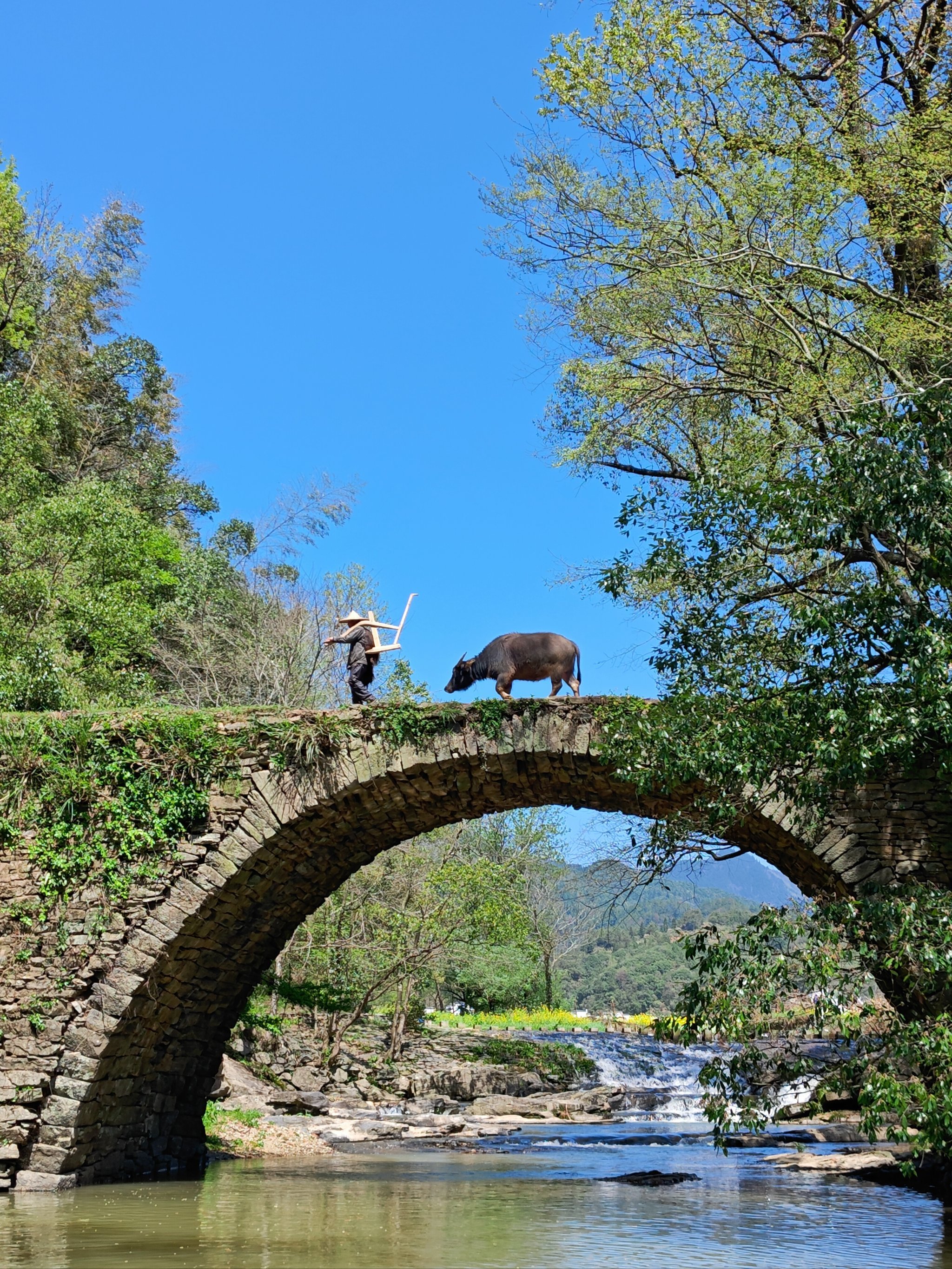 这样的老人放牛古村落让人心旷神怡呀