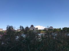 -莲花池公园