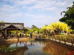 -中国科学院西双版纳热带植物园