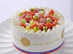 -维尔纳斯·生日蛋糕·动物奶油冰淇淋蛋糕(六里桥店)
