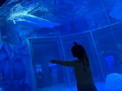 -上海海昌海洋公园-冰山北极馆