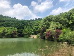 -岳麓山风景名胜区