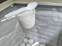 -洪馨椰子