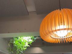 -本处·素食·融合料理(南油店)