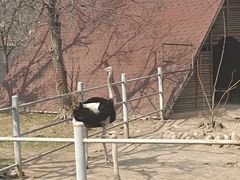 -西安秦岭野生动物园