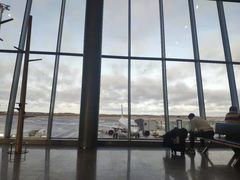 -谢列梅捷沃国际机场