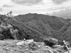-秦岭风景区