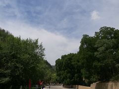 -延安杨家岭革命旧址