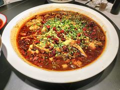 -新概念来凤鱼(璧山店)