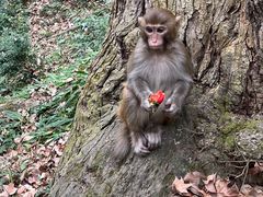 -黔灵山公园-南门售票处