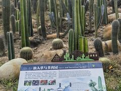 -深圳仙湖植物园