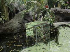 -上海海洋水族馆