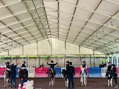 -世纪飞马幼儿园(西城校区)