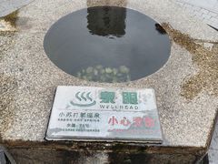 -广东温泉宾馆