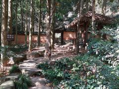 -黄公望隐居地