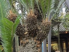 -成都武侯祠博物馆