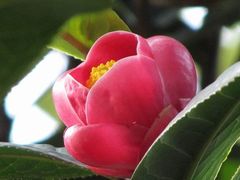-石刻园