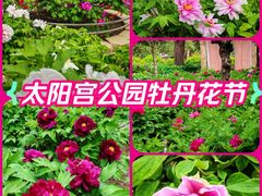 -太阳宫公园