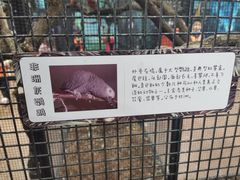 -山东省科技馆(新馆)