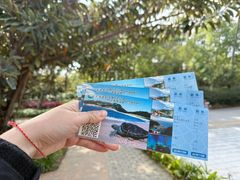 -广东惠东海龟国家级自然保护区