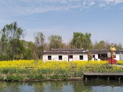 -溱湖国家湿地公园