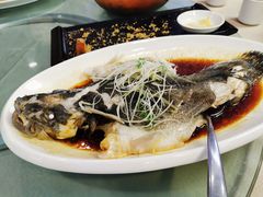 -四海酒家生态粤菜