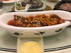 糖醋松鼠大桂鱼-常州逸高酒店-中餐厅