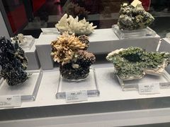 -湖南省地质博物馆