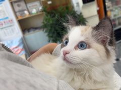 -芭比堂动物医院·CT·微创中心(新顺分院)