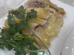 -陈记粤湛鸡饭店