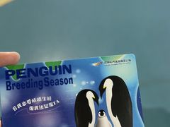 -杭州长乔极地海洋公园