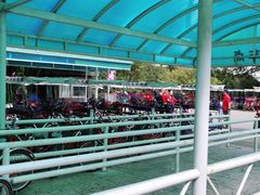 -上海海湾国家森林公园