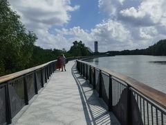 -东寨港红树林旅游区