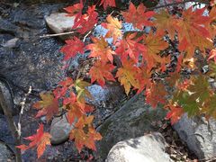 -丹东天桥沟景区