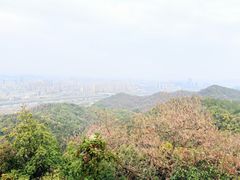 -云碧峰国家森林公园