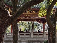 -汇龙潭