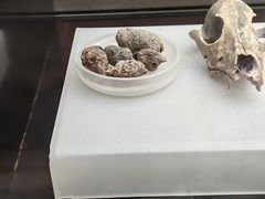 -河姆渡遗址博物馆