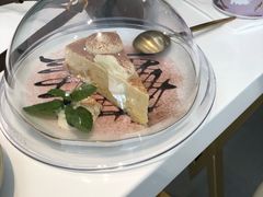 -飞行喵MR PILOT|猫舍·猫咖(静安大融城店)