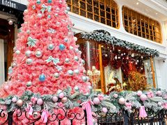 -秘密旅行Bonjour(黑金冠 江南西店)