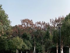 -沙河三洞古桥公园