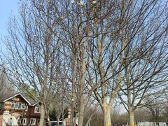 -永定河休闲森林公园