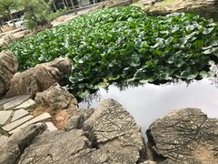 -青州市云门山风景区