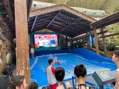 -杭州开元森泊度假乐园