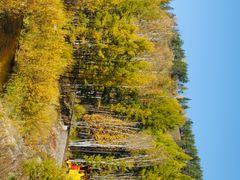 -莫尔道嘎国家森林公园