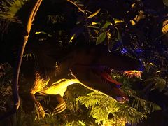 -呀路古热带植物园