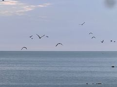 -海源公园