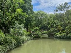 -上海醉白池公园