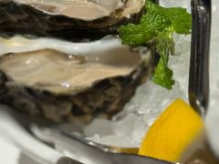 -Oyster Talks 四度蚝法餐厅