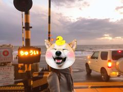 -灌篮高手动画打卡地