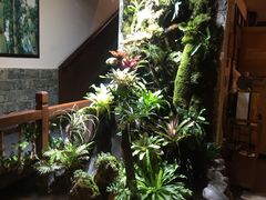 -银生食府·普洱菜(金星店)